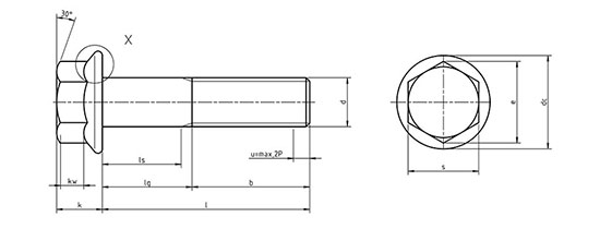 Din-6921 Bolts